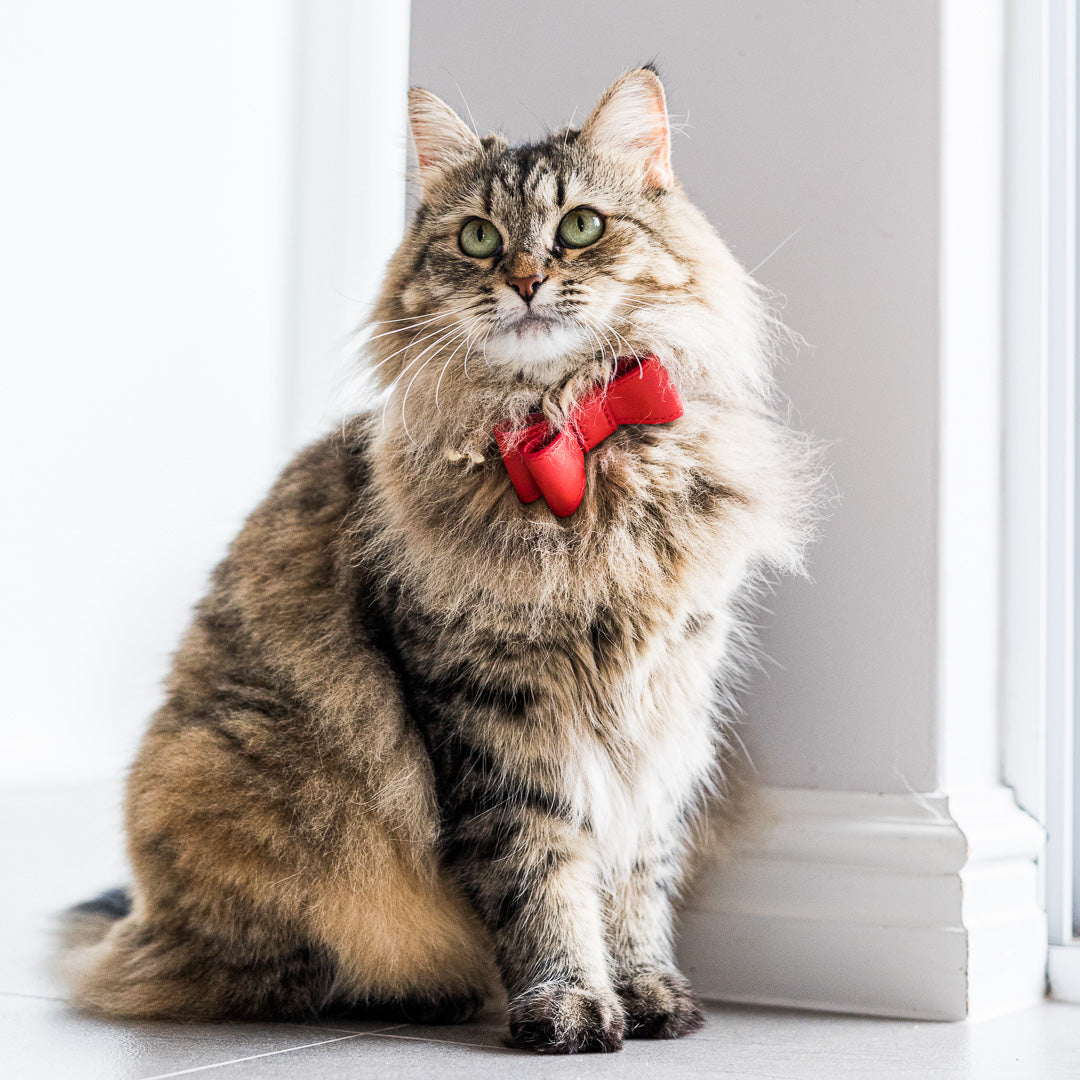 RED LEATHER CAT BOW TIE