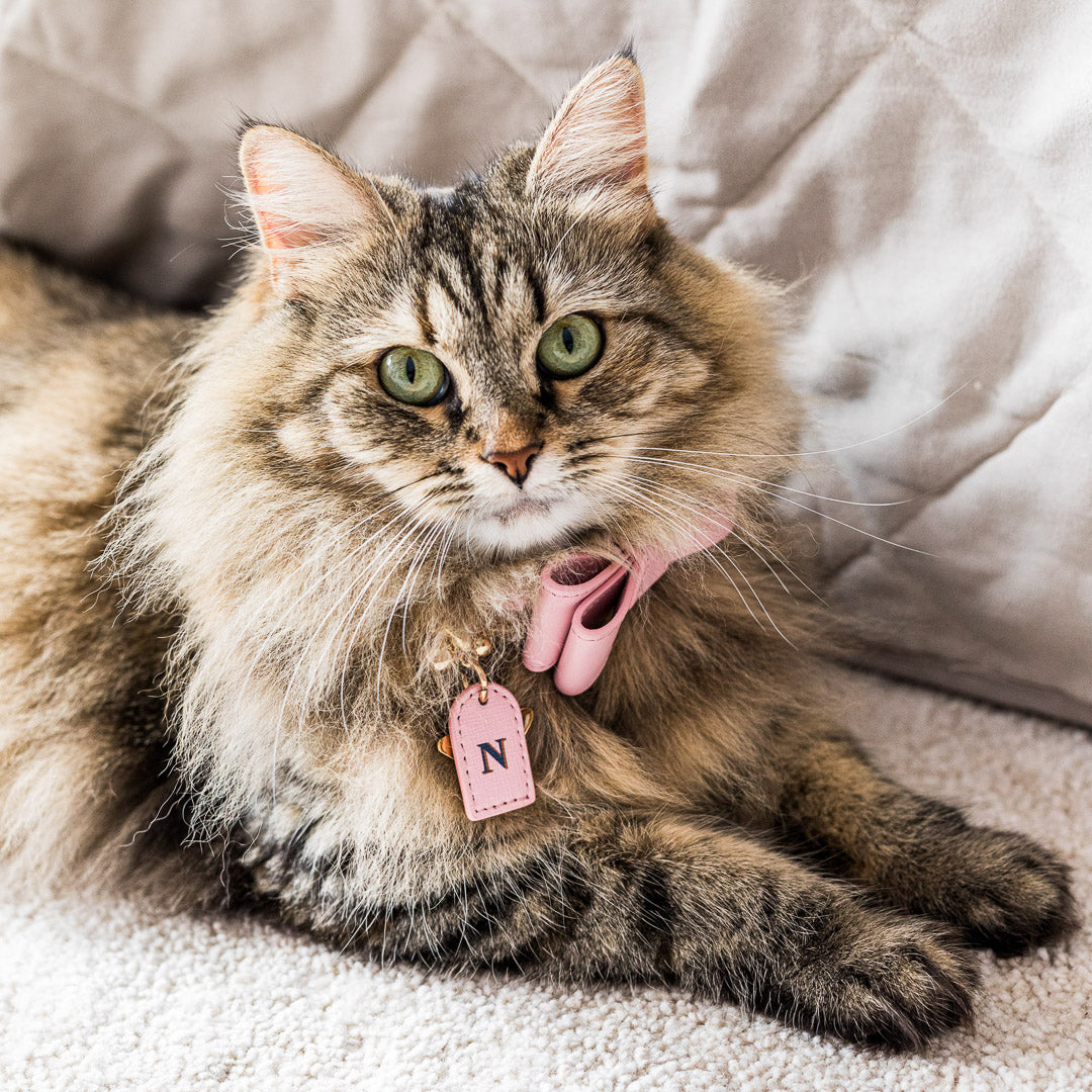 PINK LEATHER CAT BOW TIE