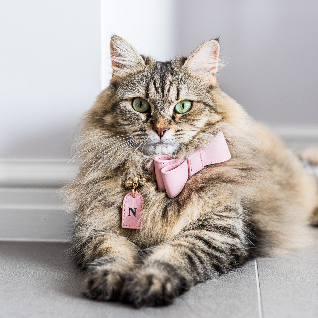 PINK LEATHER CAT BOW TIE