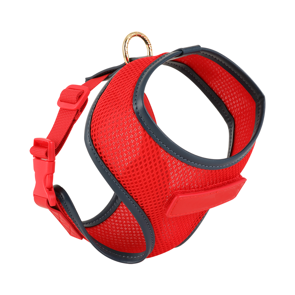 Red Dog Harness with Navy Trim