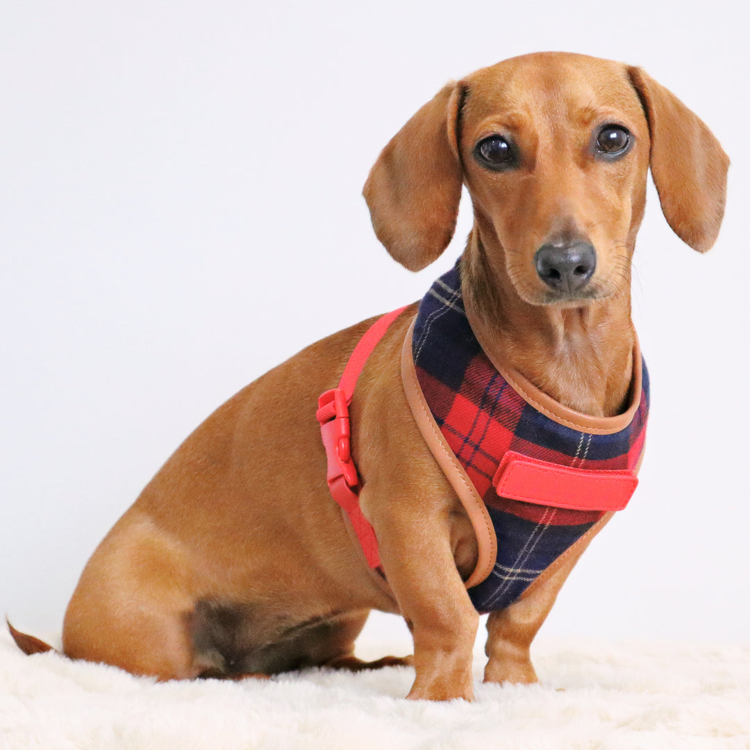 Navy & Red Tartan Fabric Dog Harness