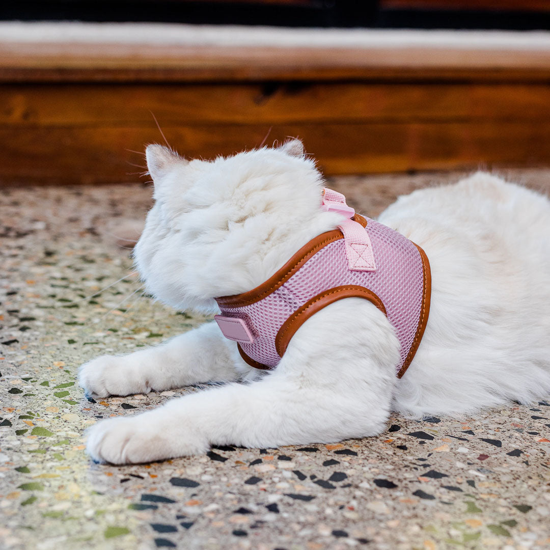Pink Cat Harness with Tan Trim