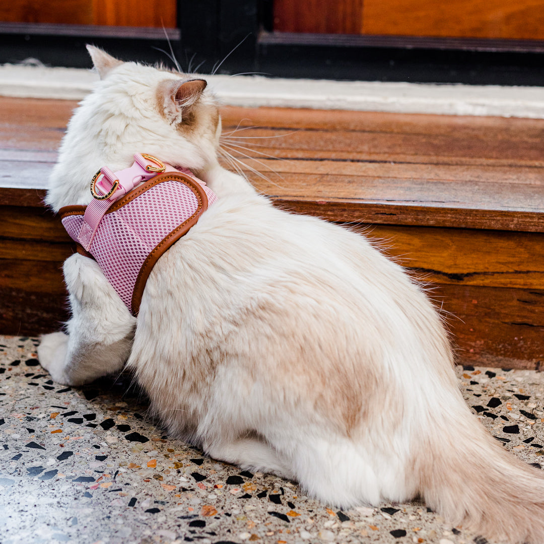 Pink Cat Harness with Tan Trim