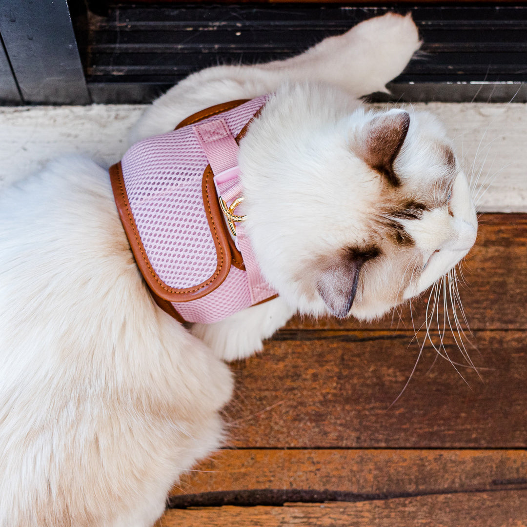 Pink Cat Harness with Tan Trim