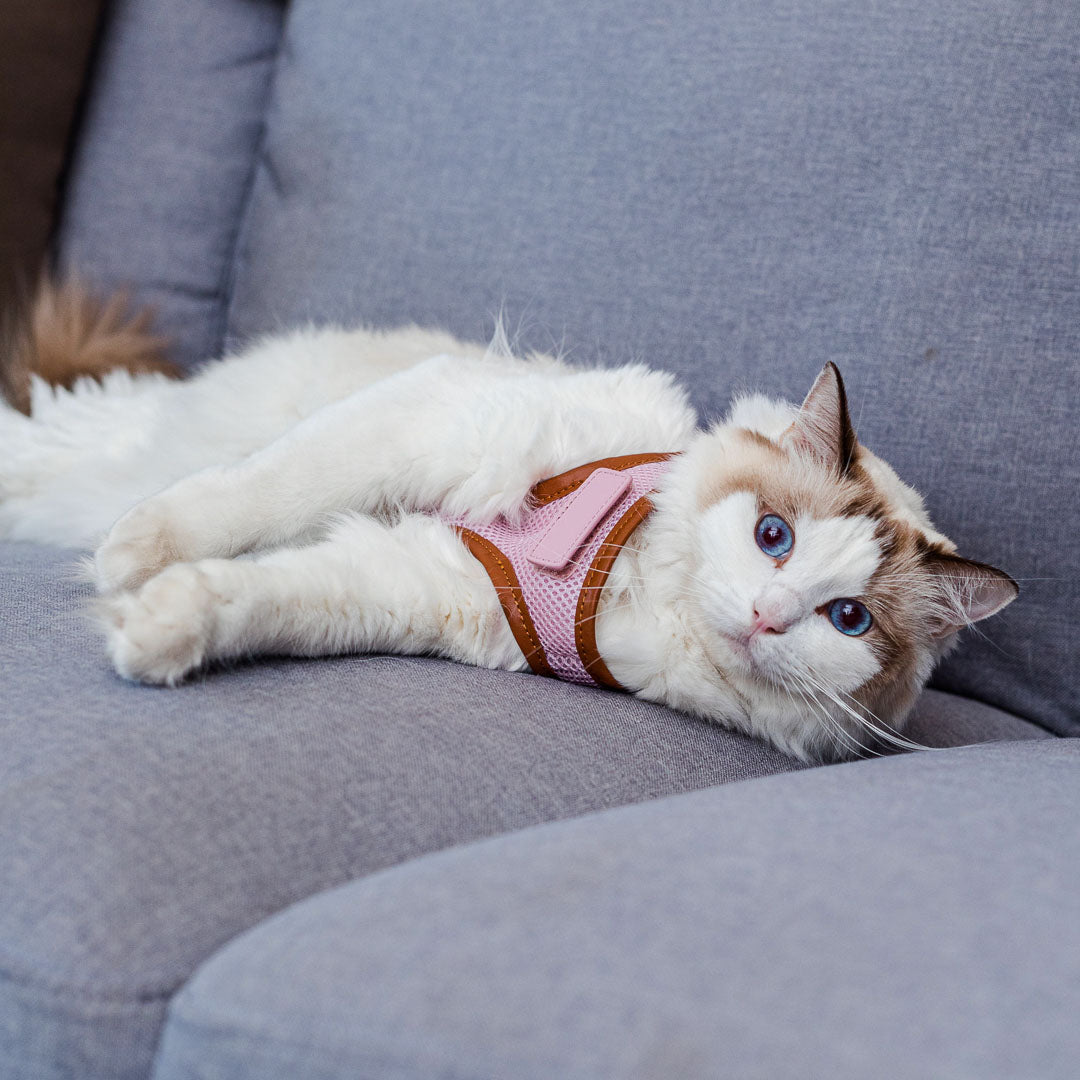 Pink Cat Harness with Tan Trim