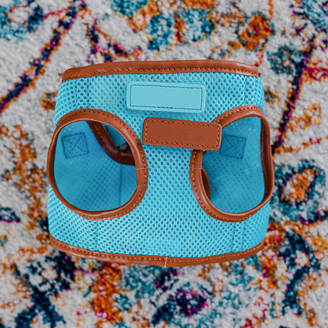 Sky Blue Cat Harness with Tan Trim