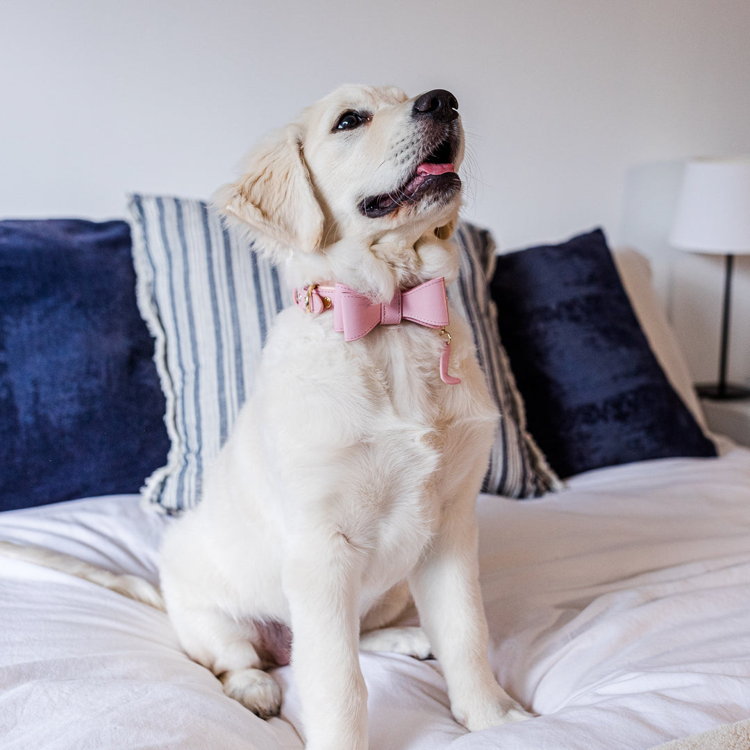 Pink Leather Dog Bow Tie
