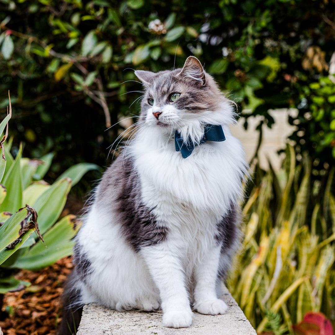 NAVY LEATHER CAT BOW TIE