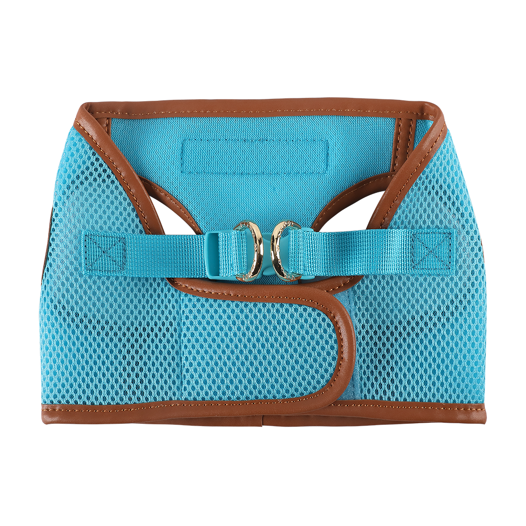 Sky Blue Cat Harness with Tan Trim