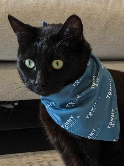 Teal + Logo Cat Bandana