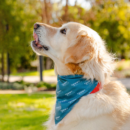 Teal + Logo Dog Bandana