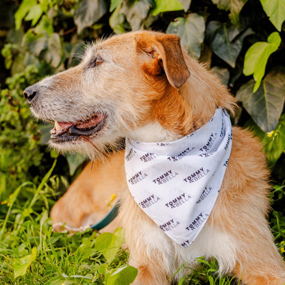 White + Logo Dog Bandana