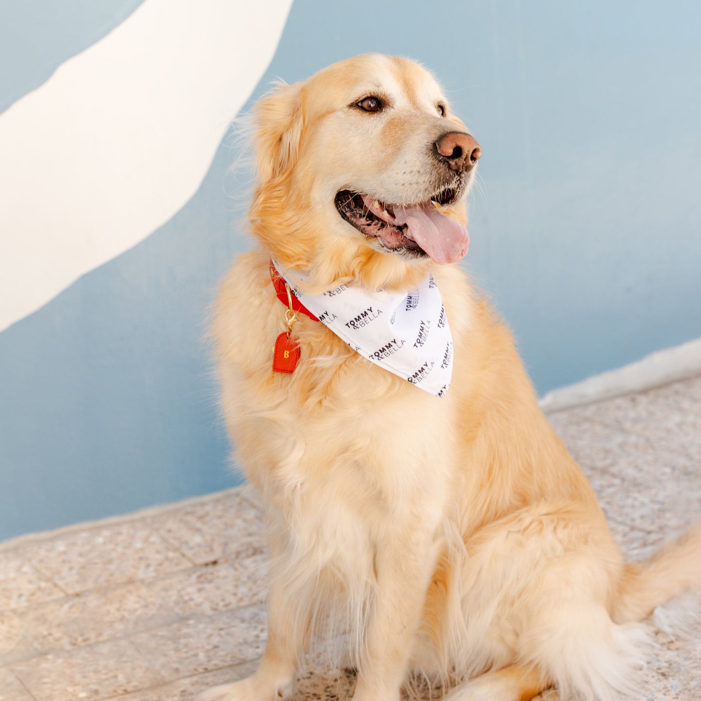 White + Logo Dog Bandana