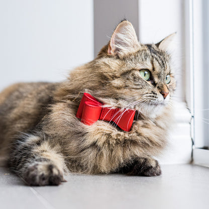 RED LEATHER CAT BOW TIE