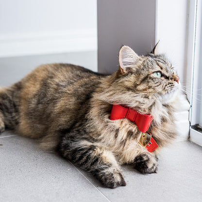 RED LEATHER CAT BOW TIE