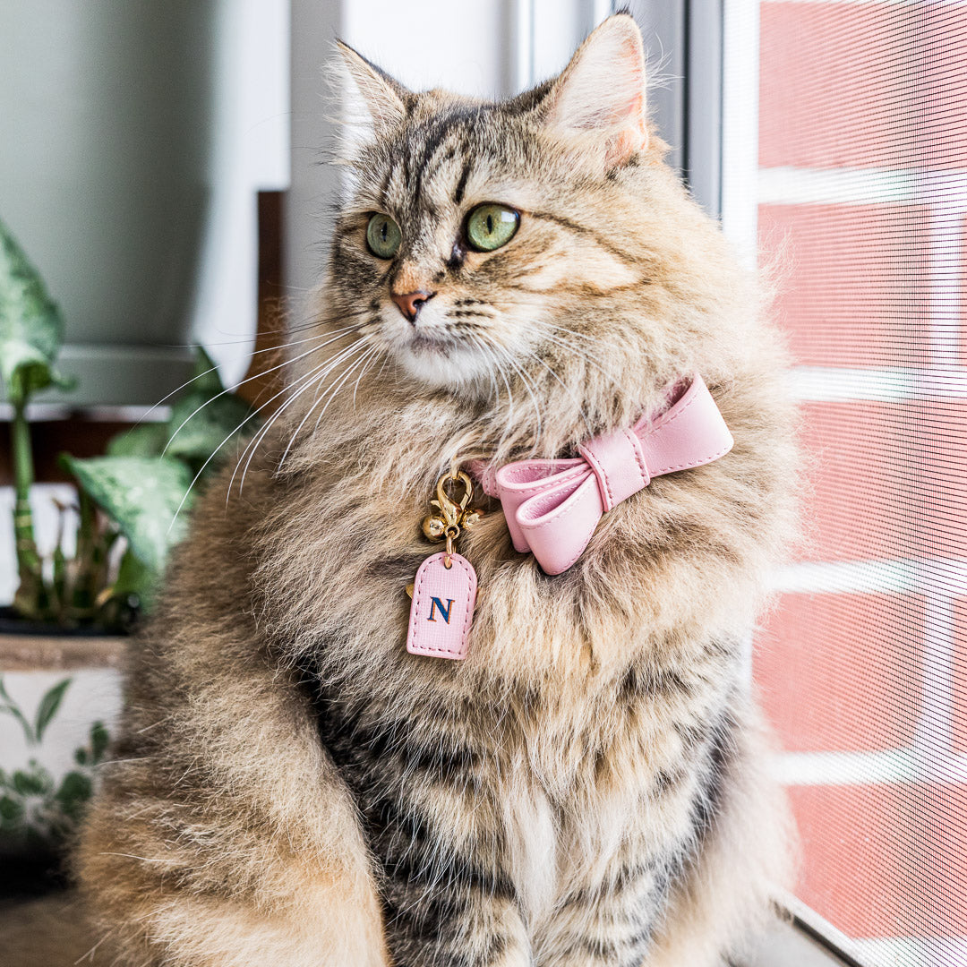 PINK LEATHER CAT BOW TIE