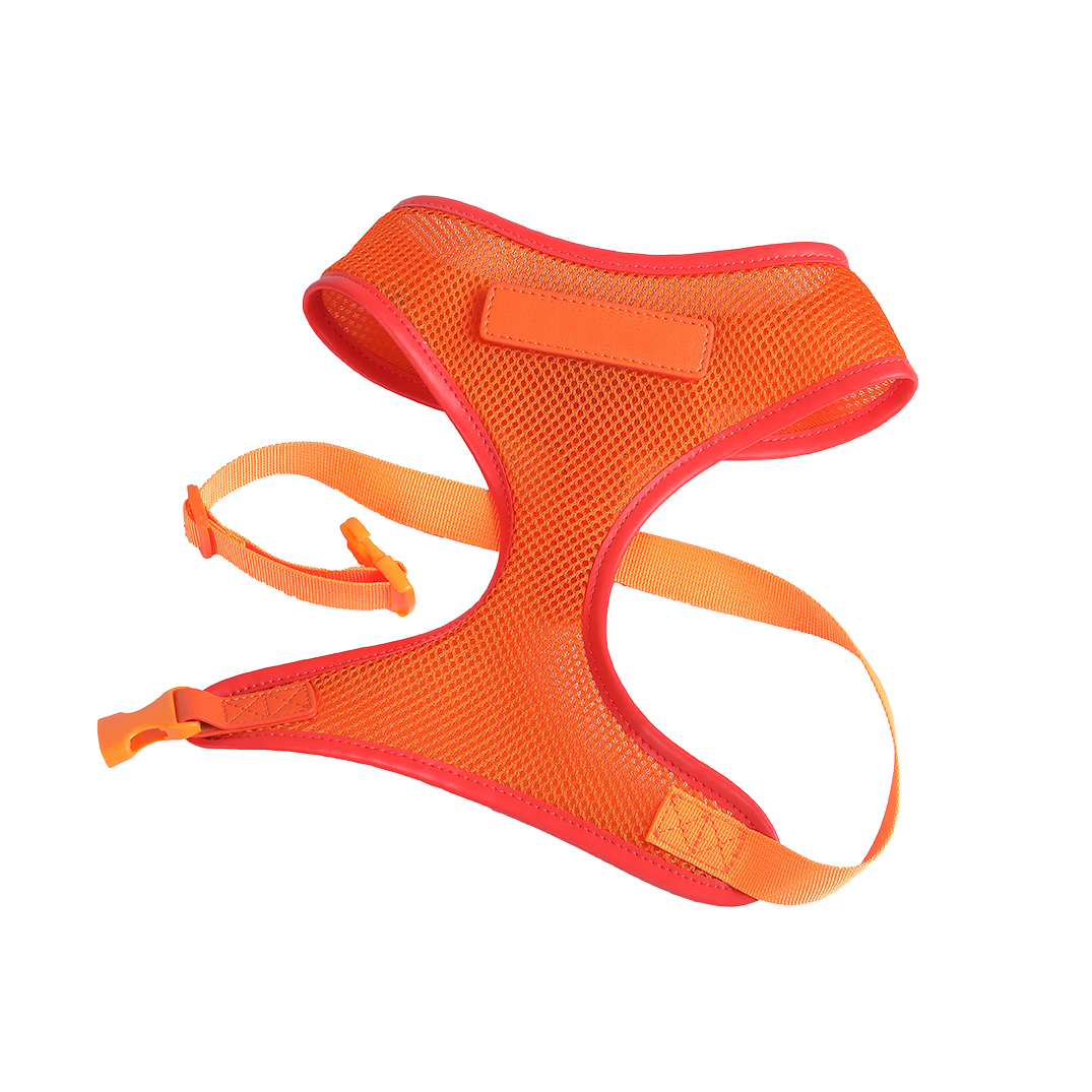 Orange Dog Harness with Red Trim