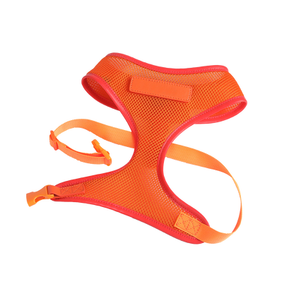 Orange Dog Harness with Red Trim