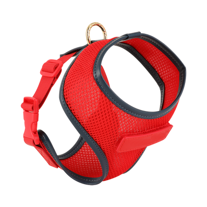 Red Dog Harness with Navy Trim