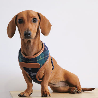 Navy & Green Tartan Fabric Dog Harness