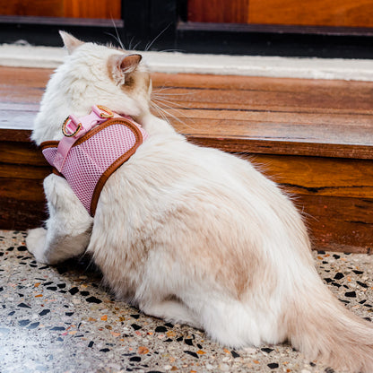 Pink Cat Harness with Tan Trim