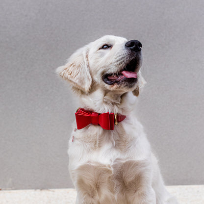 Red Leather Dog Bow Tie