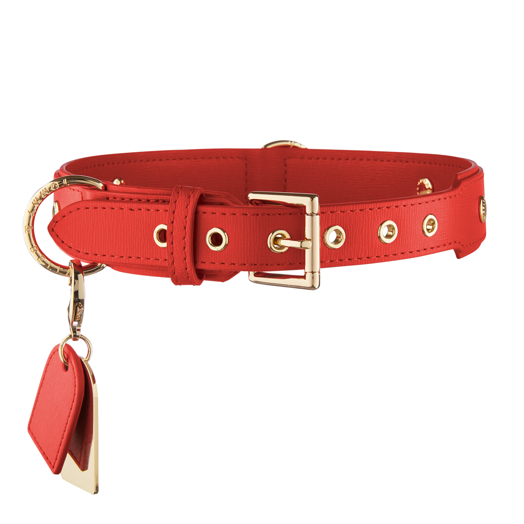 Luxury Dog Collar | Red – Tommy & Bella