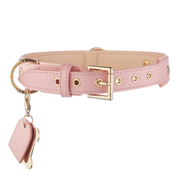 Luxury Leather Dog Collars | Designer Dog Collars & Accessories – Tommy ...